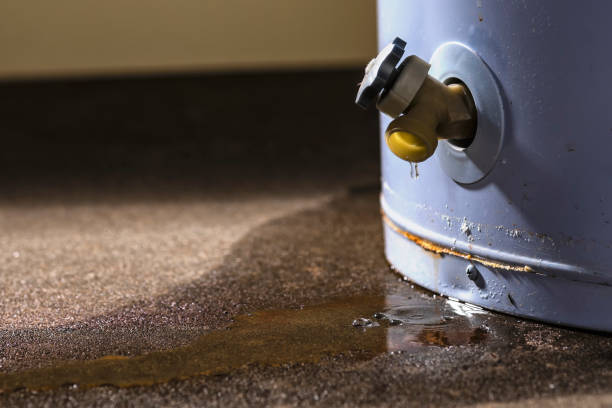 Best Ceiling water damage repair  in Lamar, MO