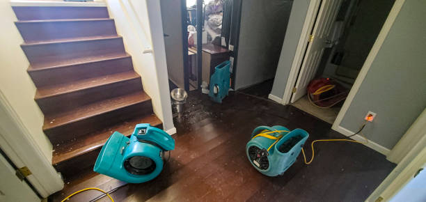 Best Commercial water damage restoration  in Lamar, MO
