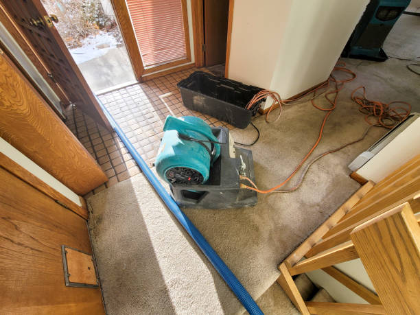 Best Basement water damage restoration  in Lamar, MO