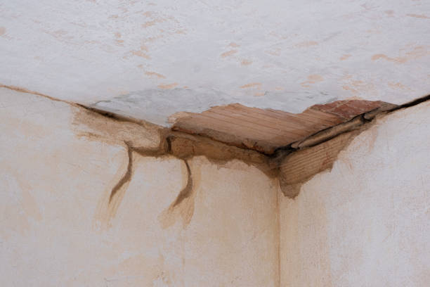  Lamar, MO Water damage restoration Pros