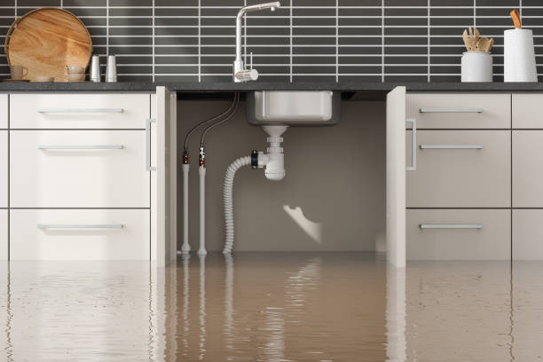 Best 24/7 water damage repair  in Lamar, MO